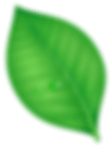 Image Net Found