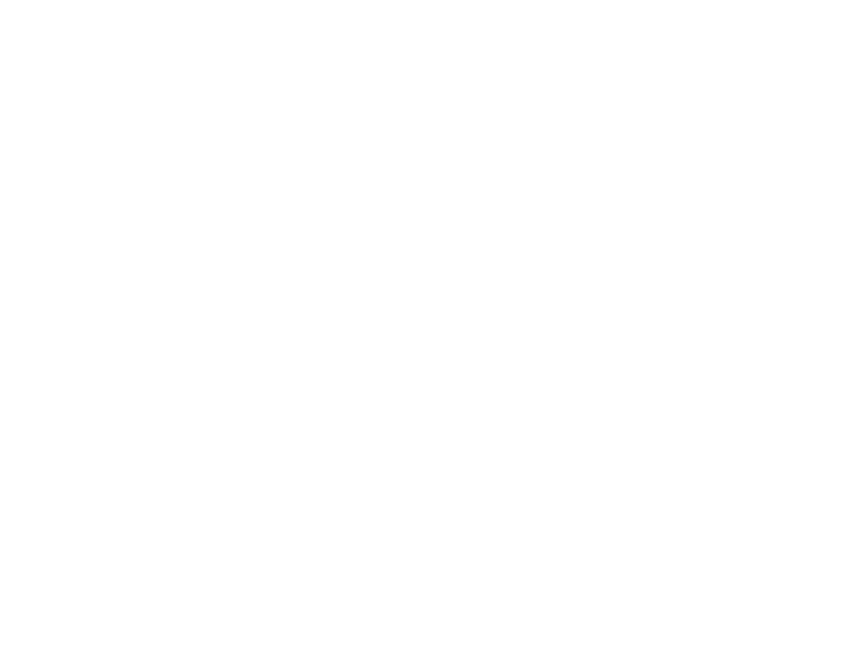 Image Net Found